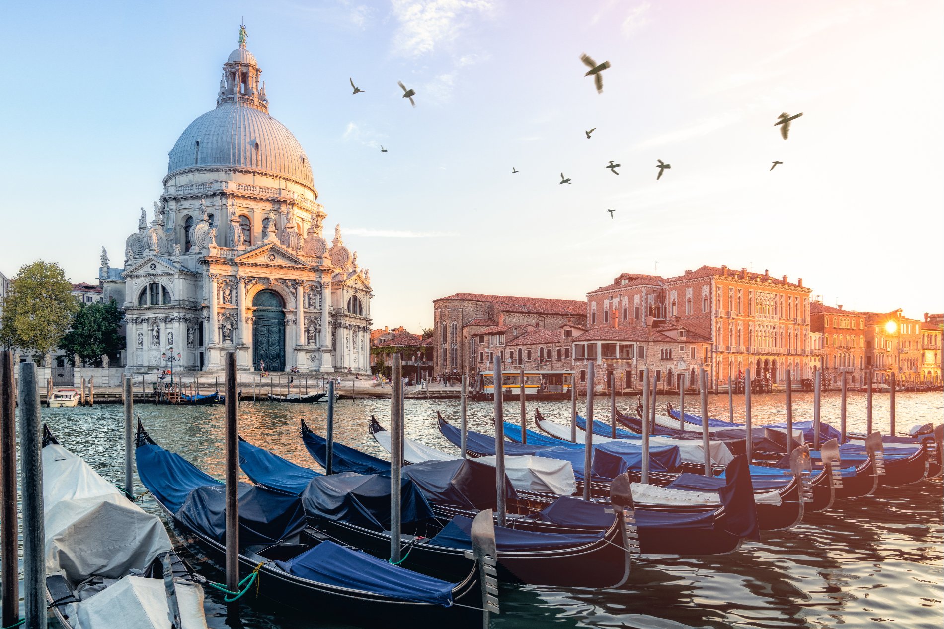 River Side View Of Santa Maria Della Salute Church in Venice, Italy