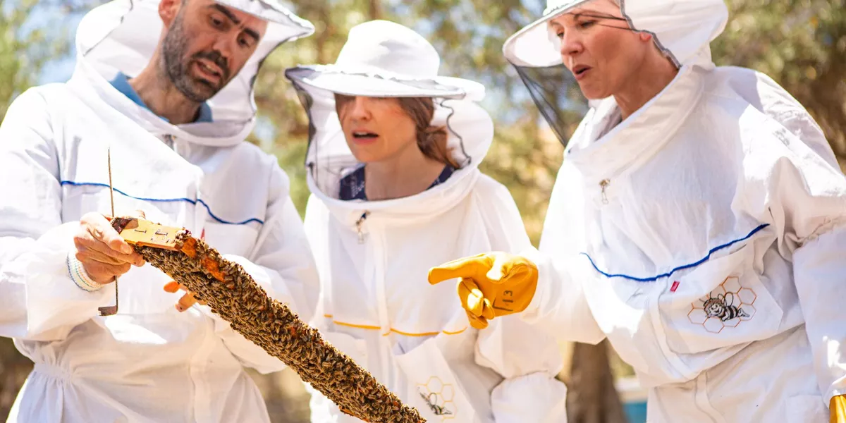 Large Guests Beekeeping At Moka Honey MTM