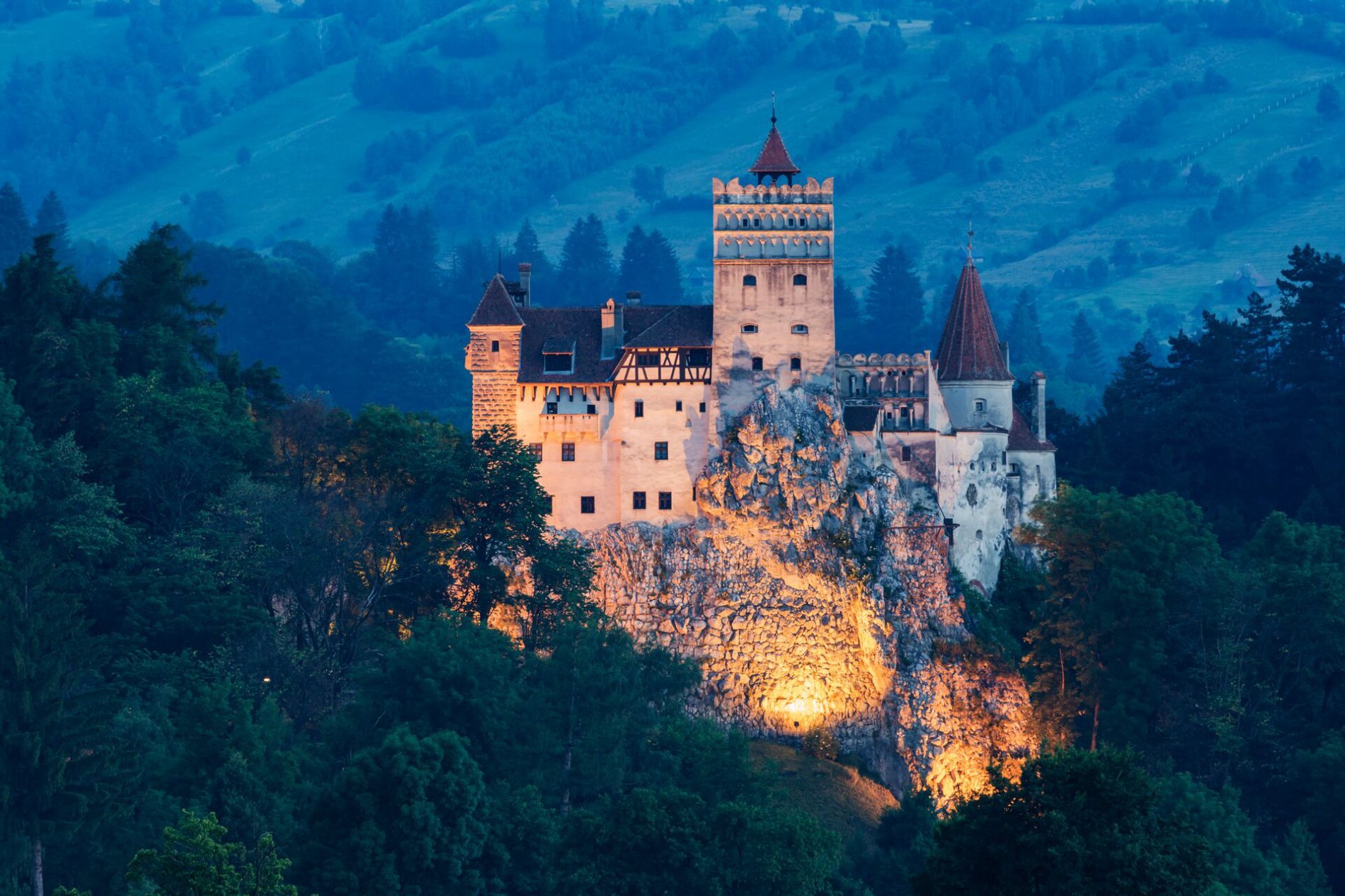 Illuminated Bran Castle on hill covered with trees at night in Transylvania, Romania 