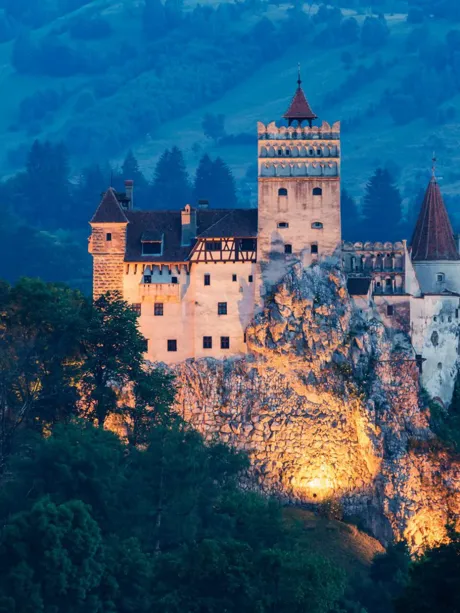 Illuminated Bran Castle on hill covered with trees at night in Transylvania, Romania