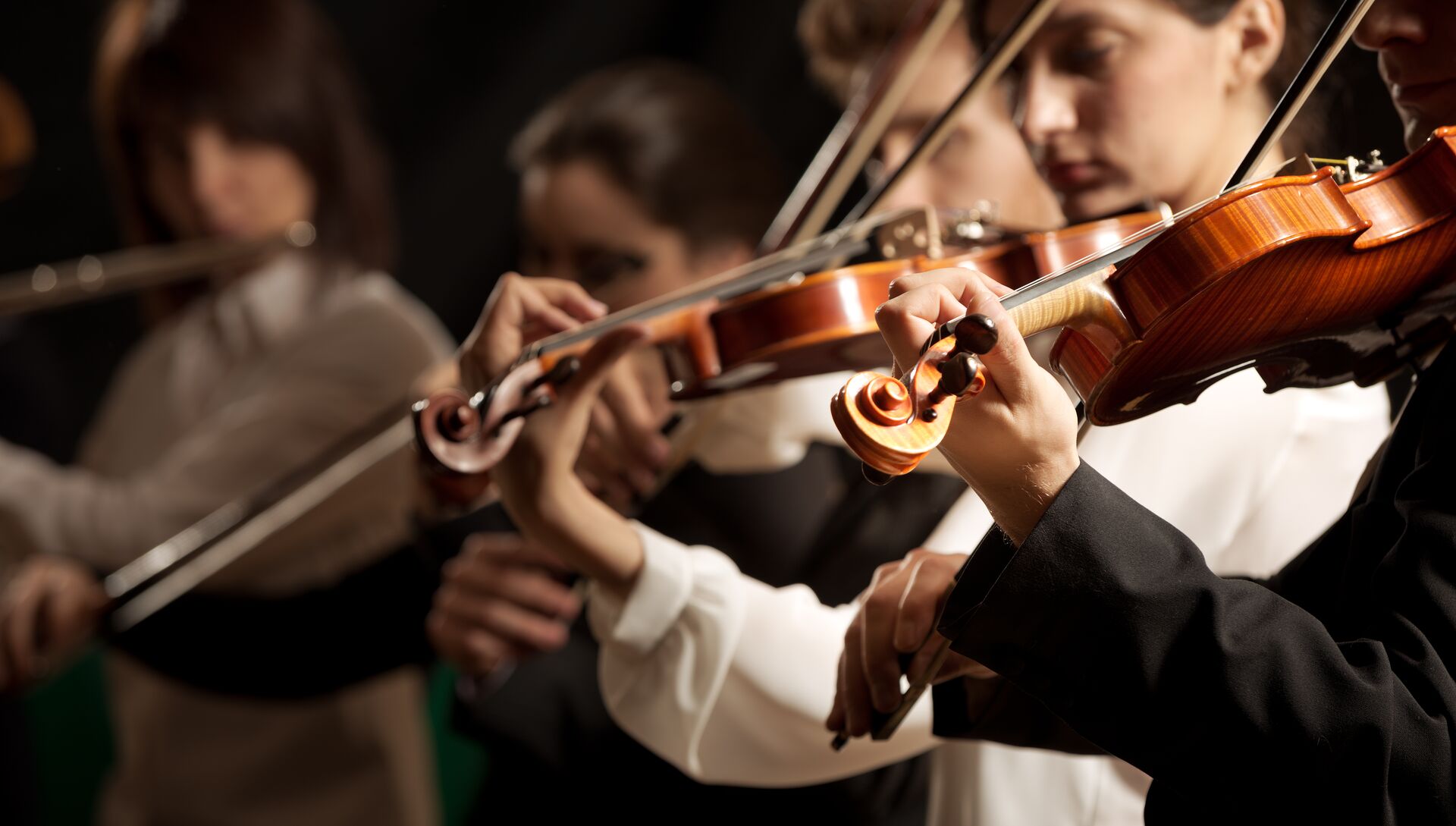 Violinists in a Symphony Orchestra playing a piece of music
