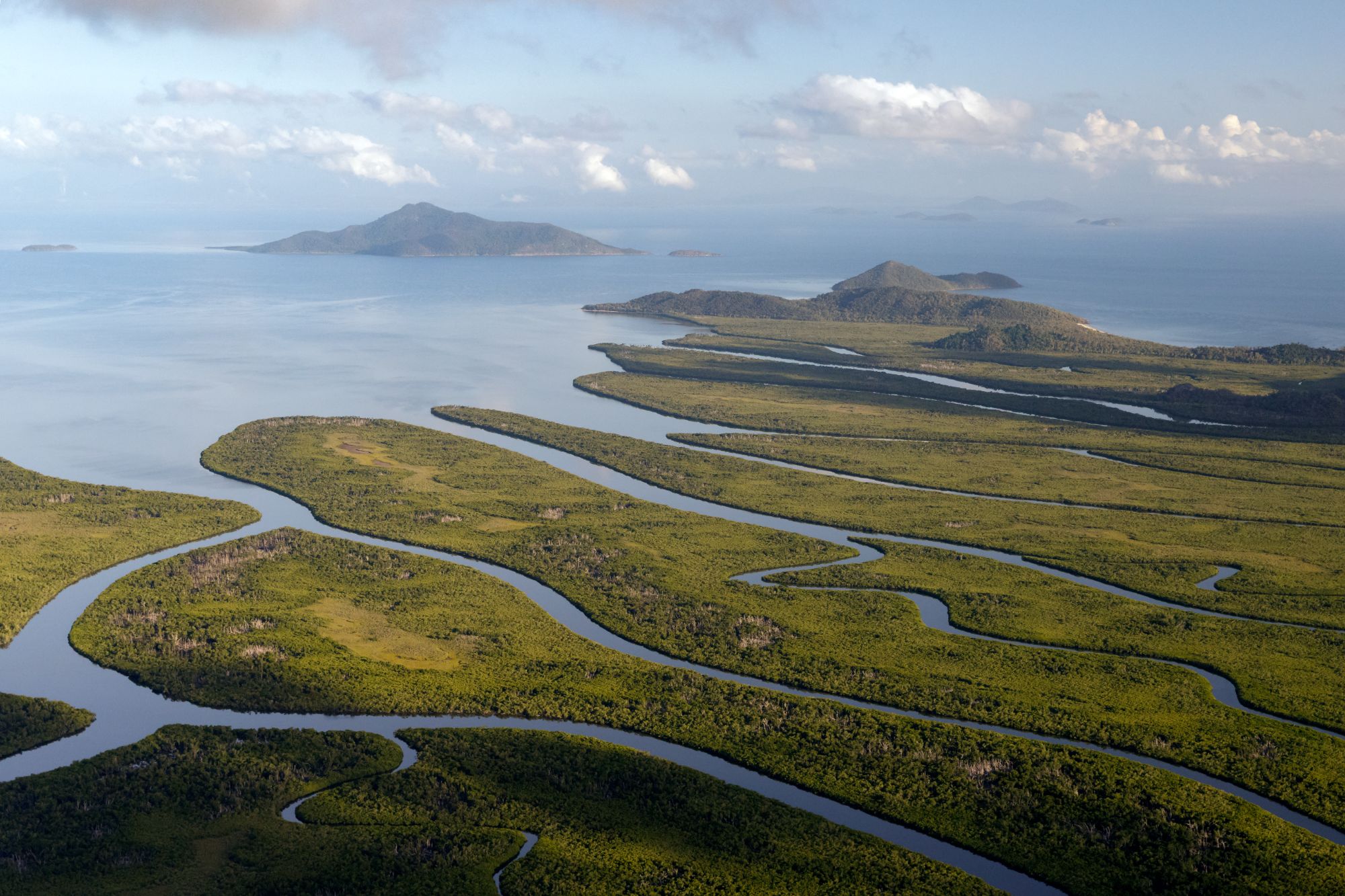Aerial view on green meanders of Saloum Delta National Park in Senegal