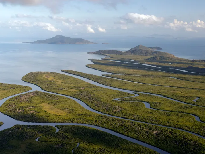Aerial view on green meanders of Saloum Delta National Park in Senegal