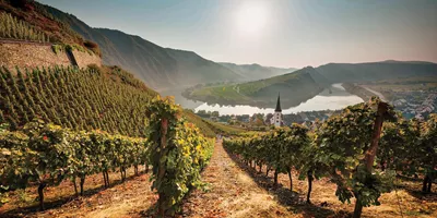 Best of Germany and Austria Guided Tour