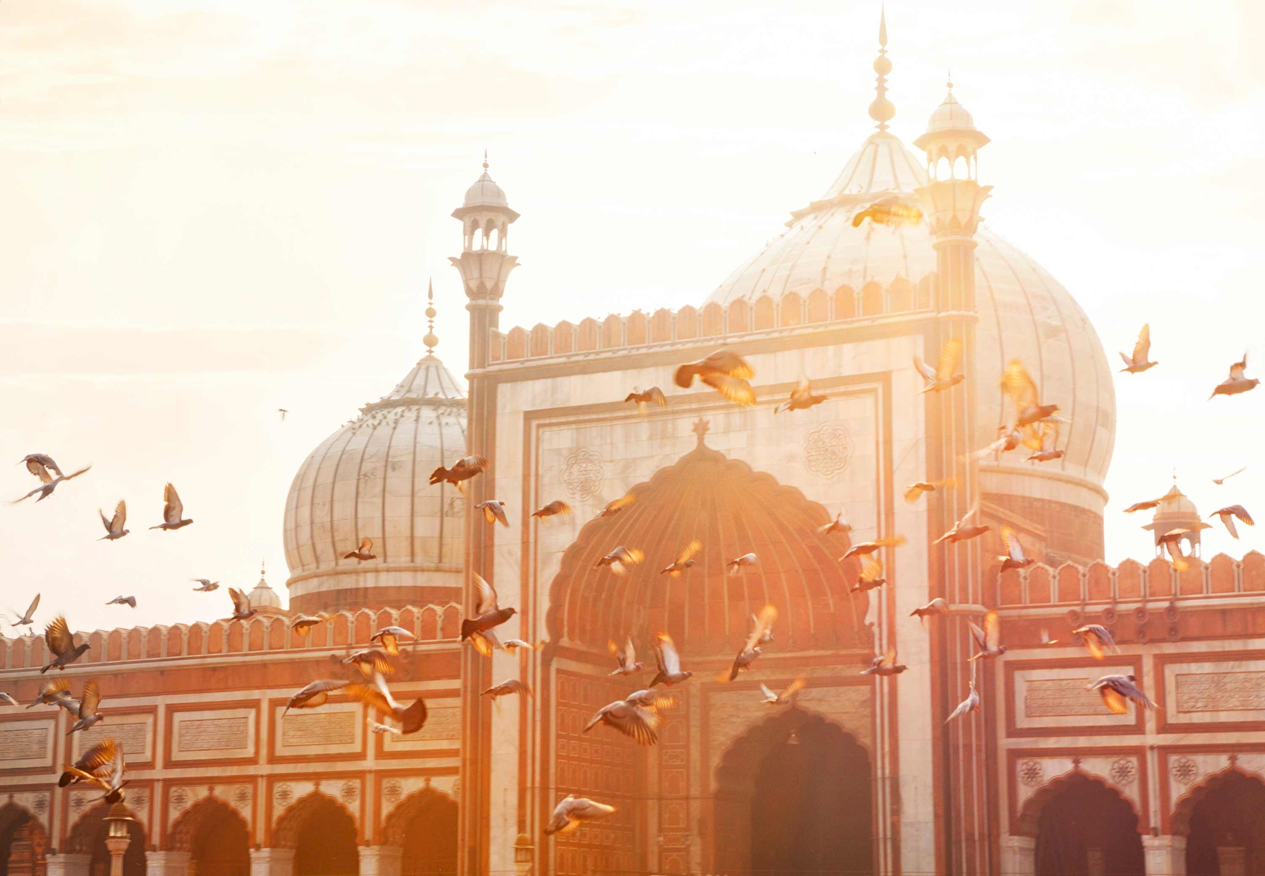 jama-masjid-mosque-delhi-india.jpg