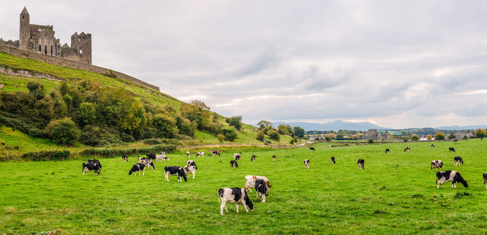 94_rock-cashel-field-cashel-ireland.jpg