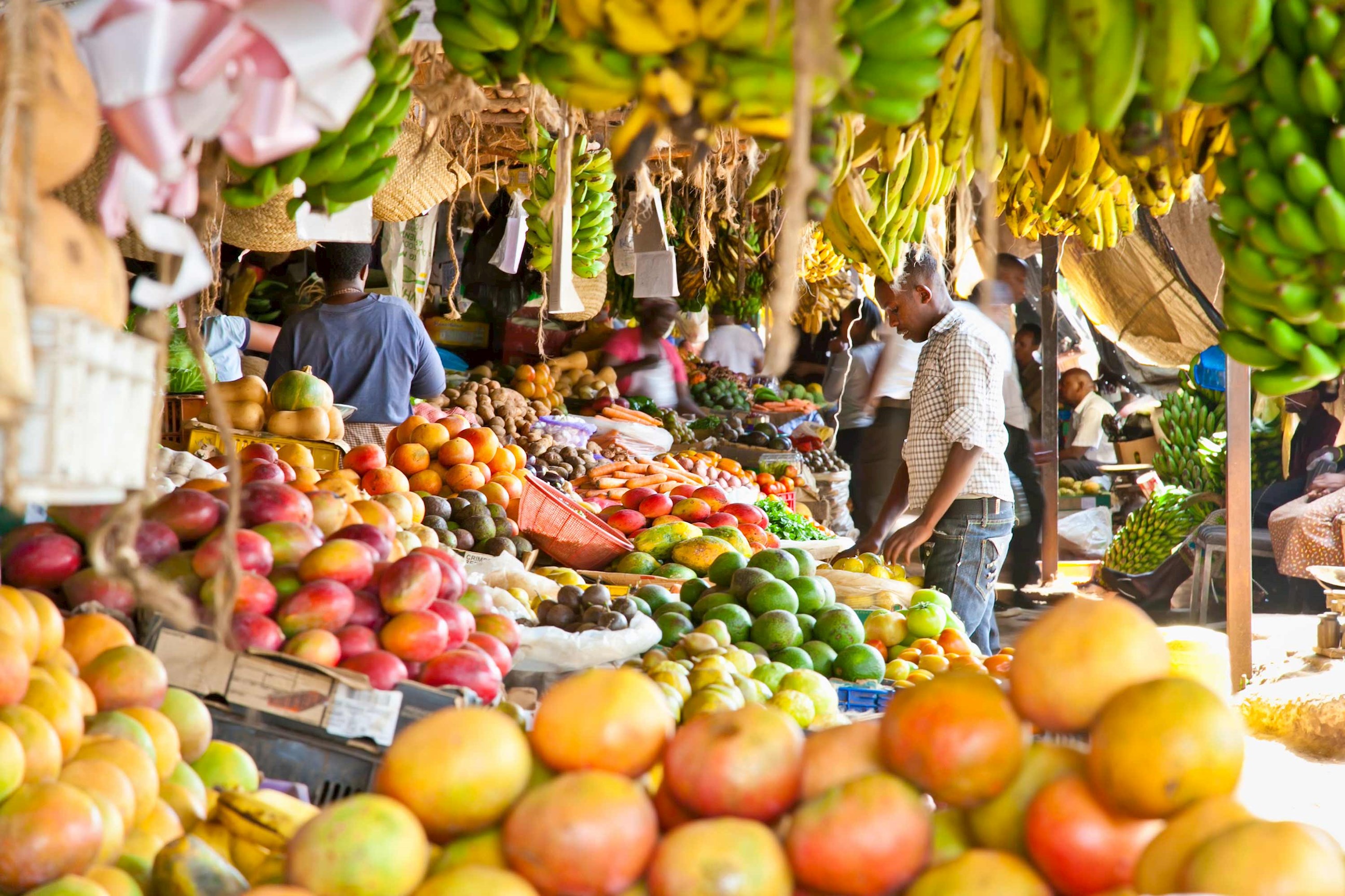 city-tour-nairobi-kenya.jpg