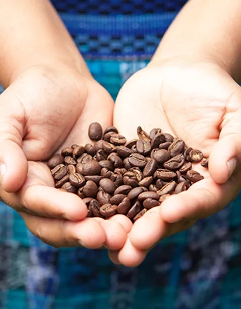 Costa Rica Drink Coffee Beans