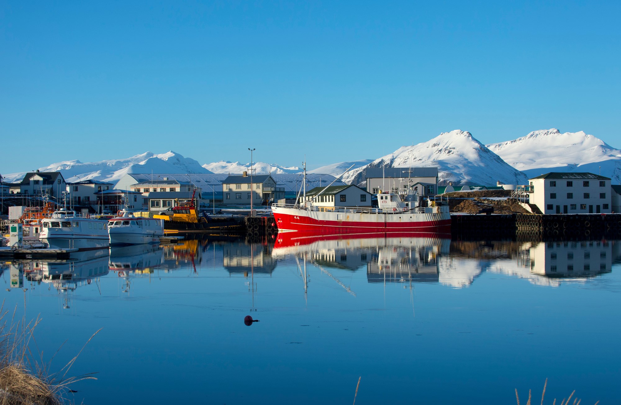 fishing-harbour-hofn-iceland.jpg