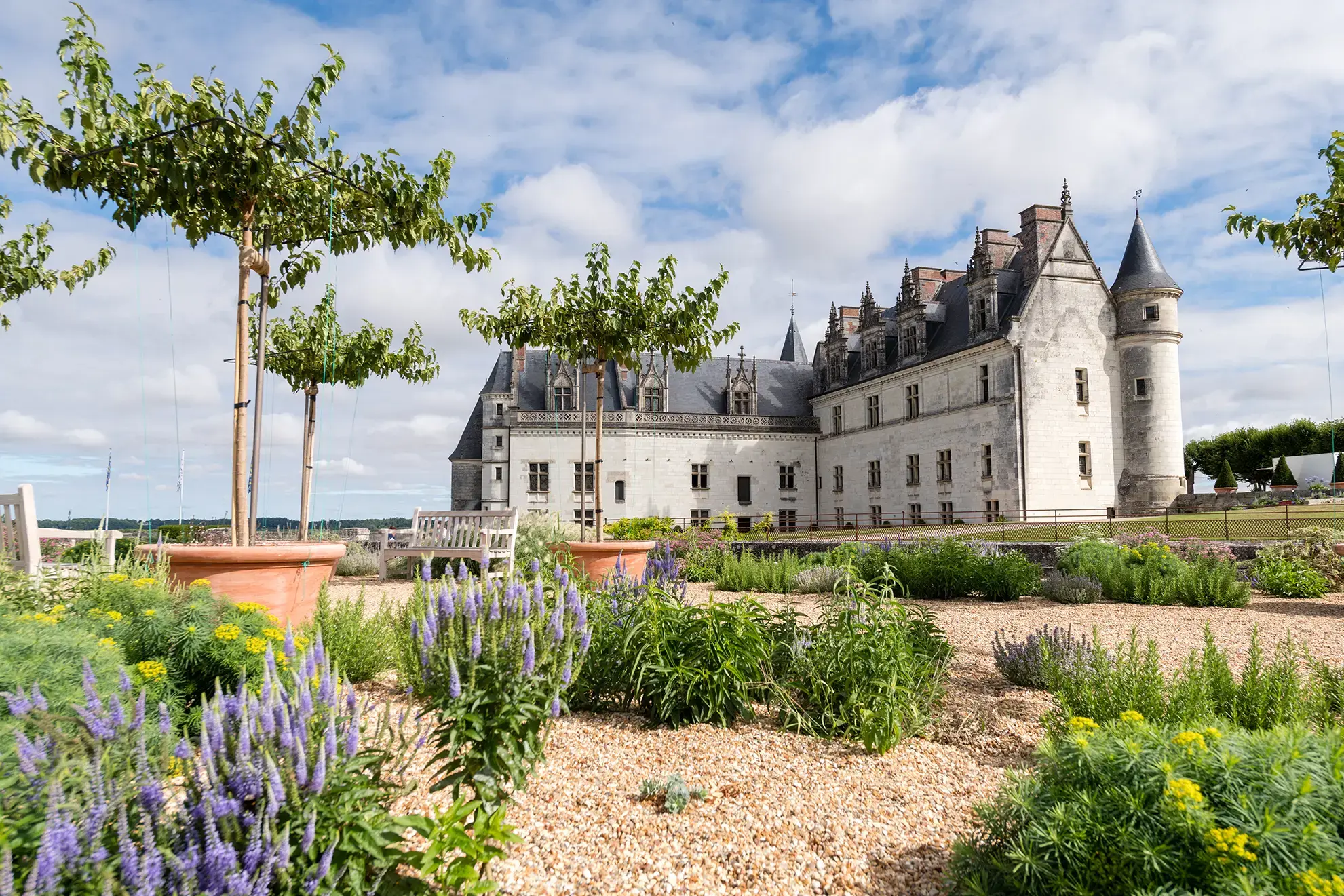 castle-of-amboise-in-loire-valley-france.webp