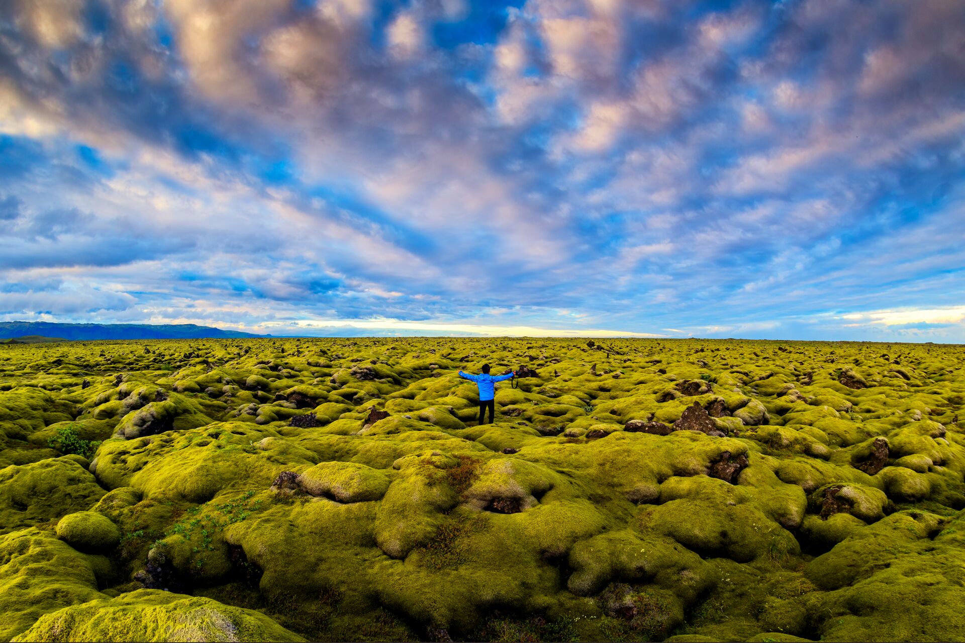 Man standing in a Lava Moss Field In Iceland