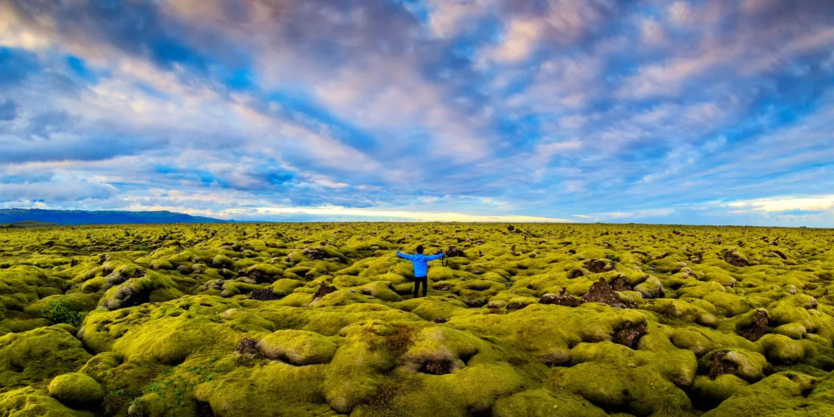 Man standing in a Lava Moss Field In Iceland