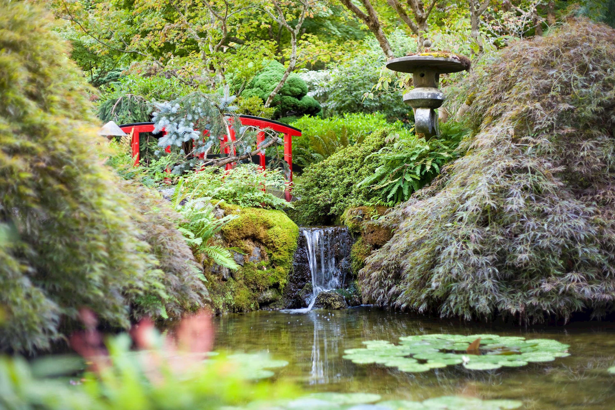 butchart-gardens-victoria-canada.jpg
