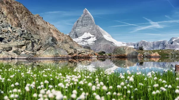 Large Matterhorn And And Grass Near Lake At The Morning Time Beautiful Natural Landscape In The Switzerland Mountains Landscape At The Summer Time 1019586118