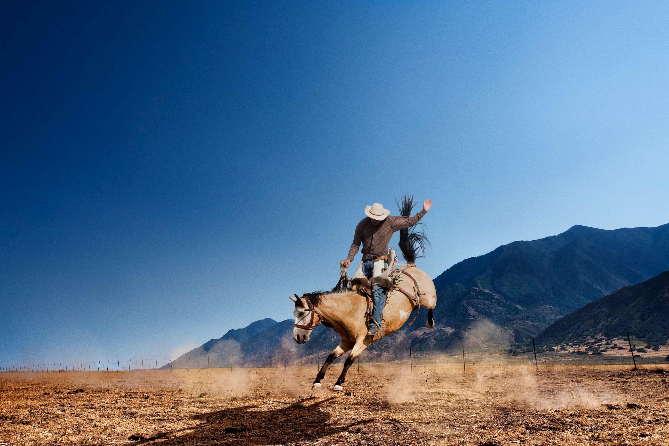 cowboy-horse-cody-usa.jpg