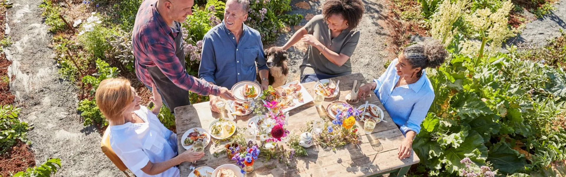 People eating lunch in a garden