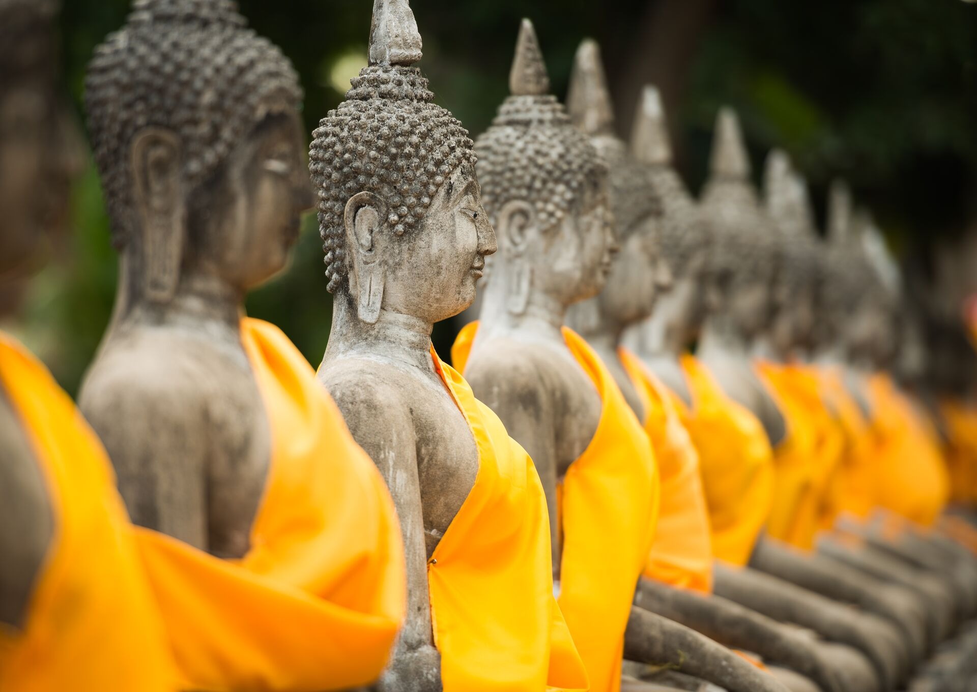 Hailand Ayutthaya Old Buddha Statue Temple