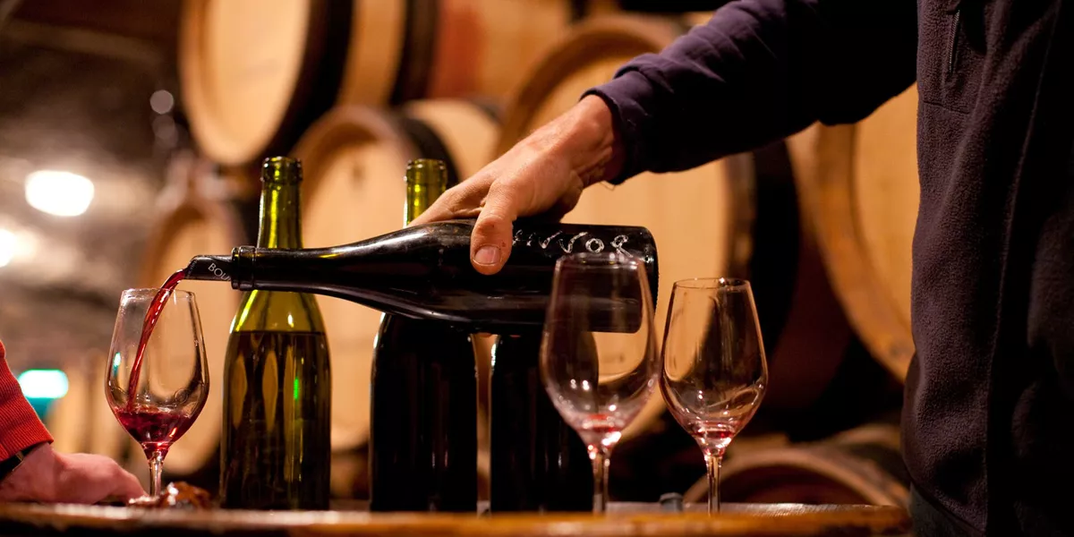 Burgundy Wine Tasting