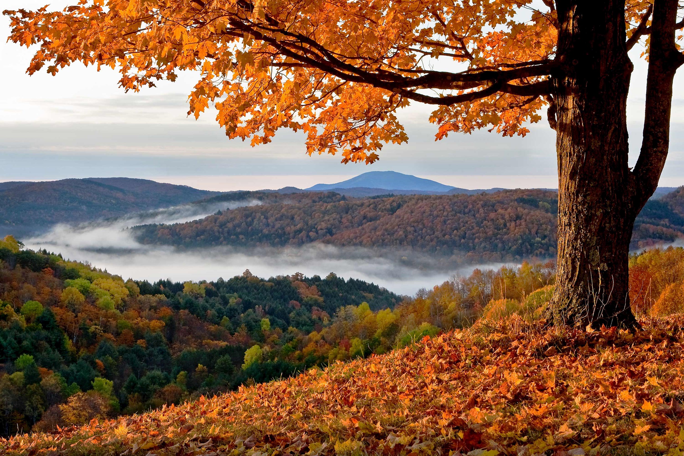 view-vermont-usa.jpg