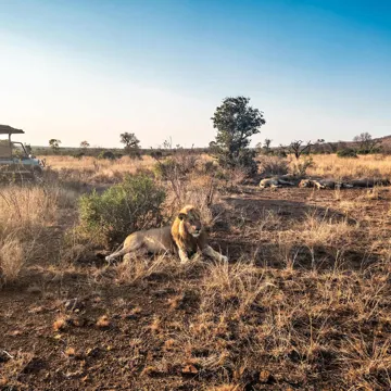 Best of South Africa Guided Tour