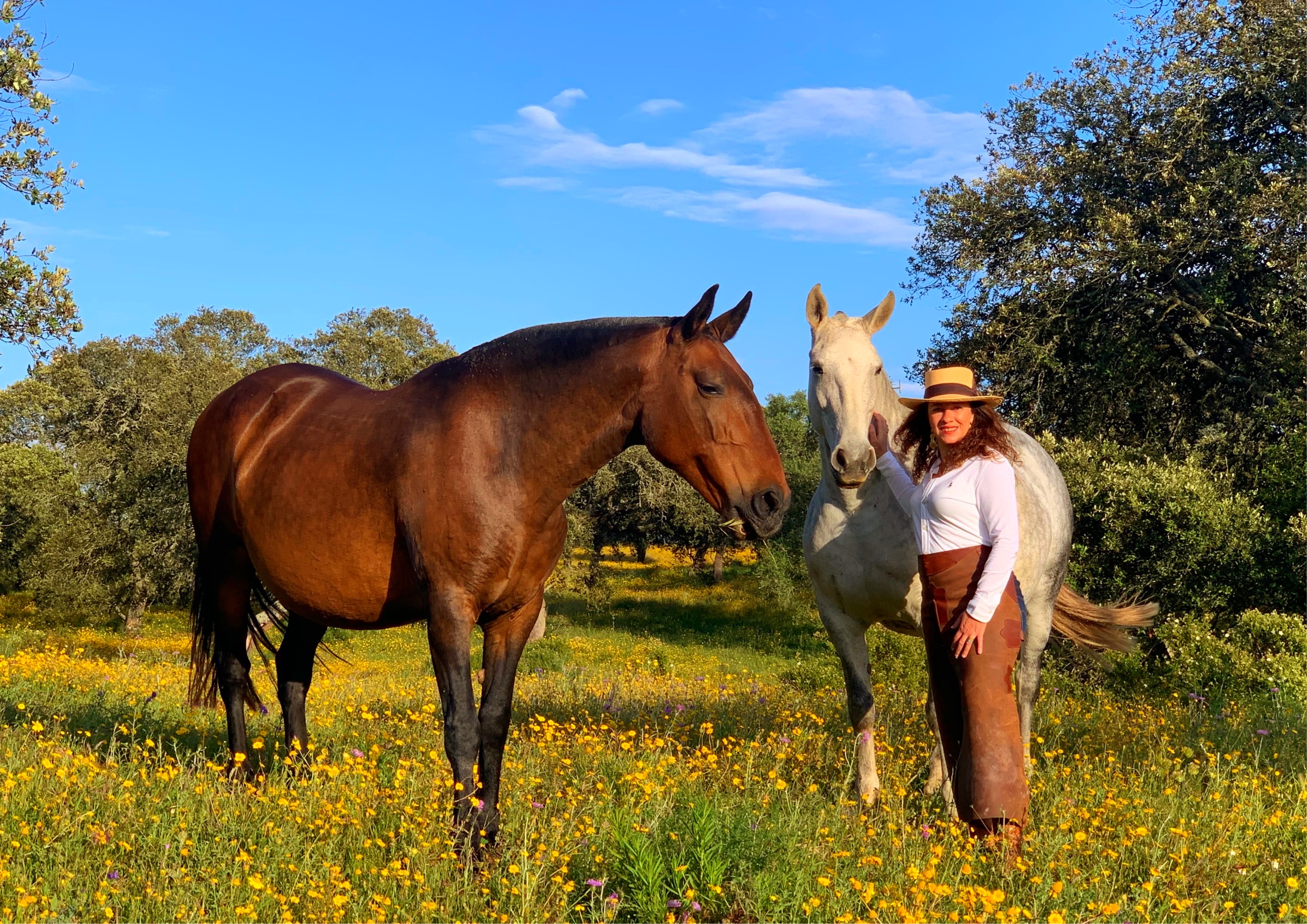 Woman with horses Tiego and Vera on a ranch in Portugal