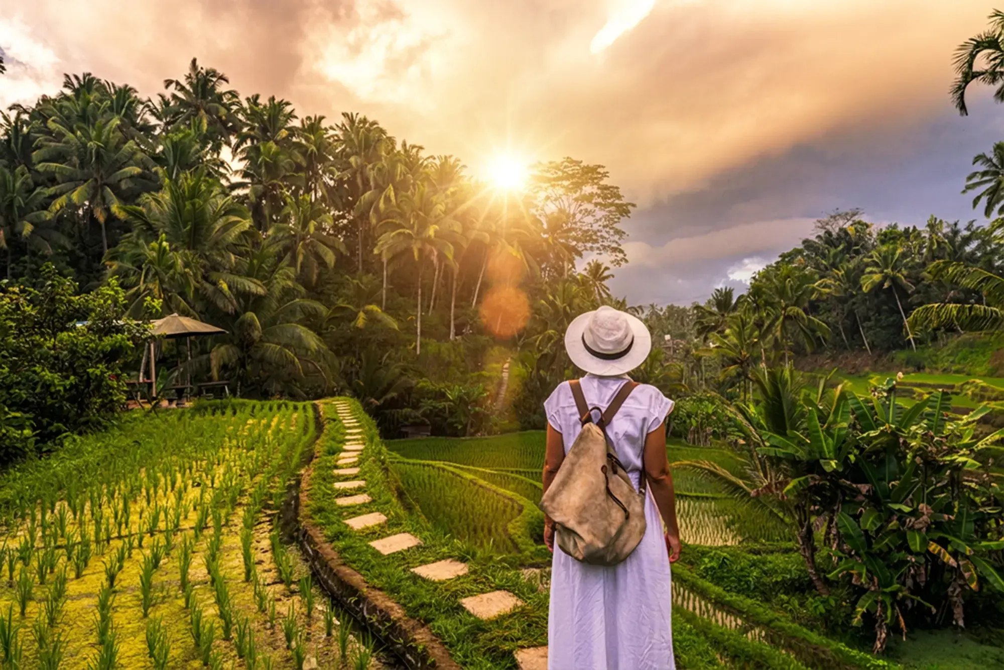 day-hero-woman-rice-fields-ubud-bali-2211742168.webp