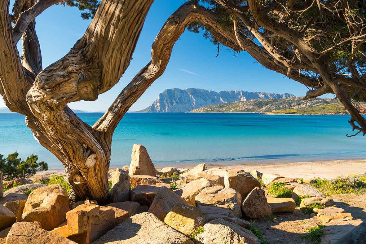 punta-capo-coda-cavallo-beach-san-teodoro-sardinia.jpg