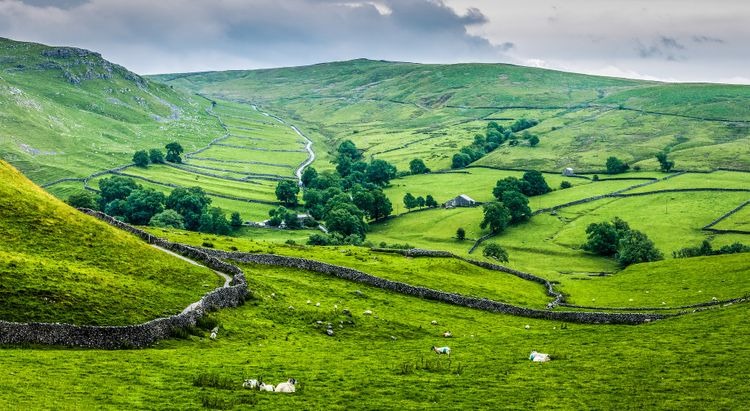 Cry Stone Walls Yorkshire