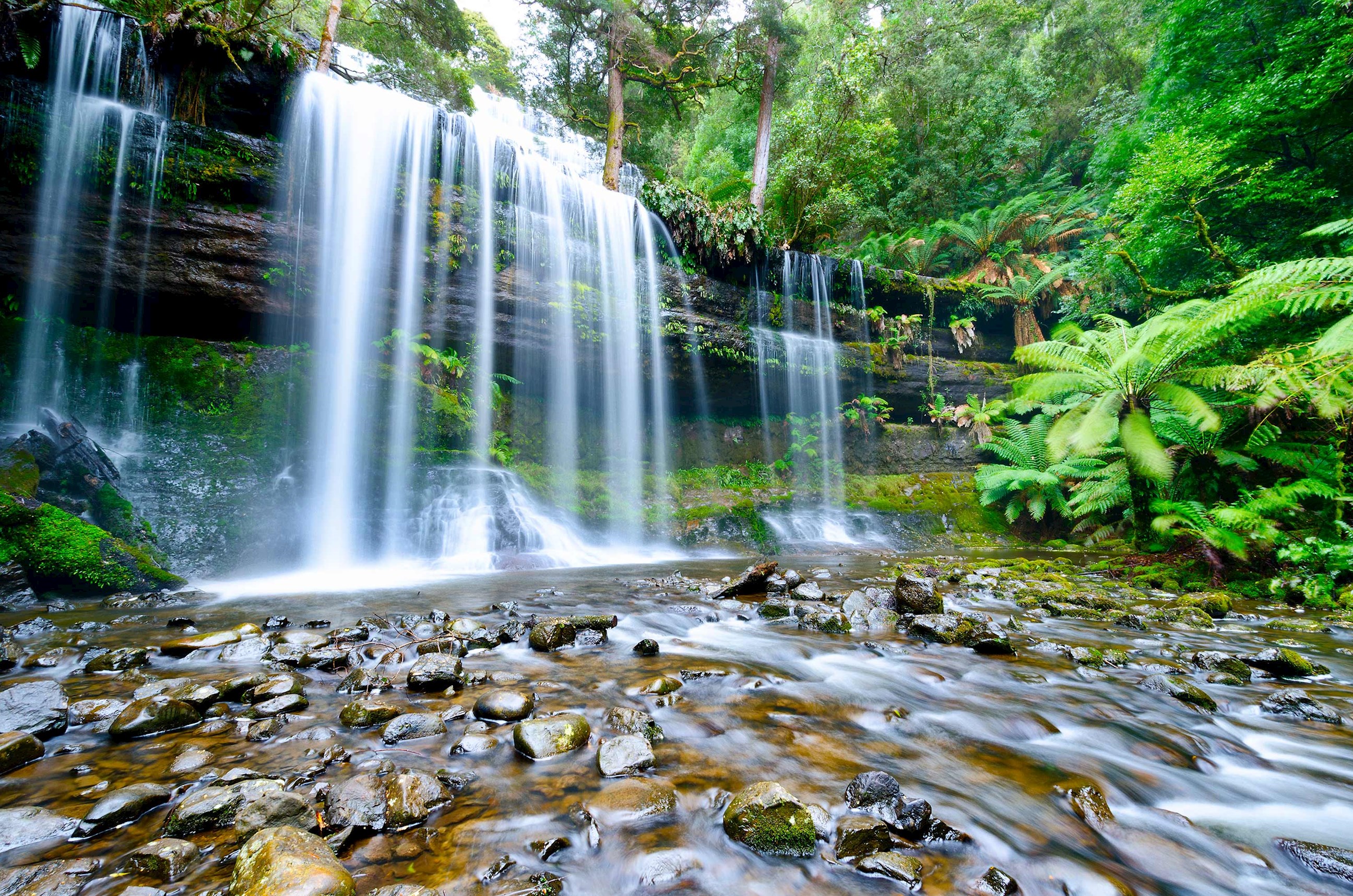 tasmania tours november