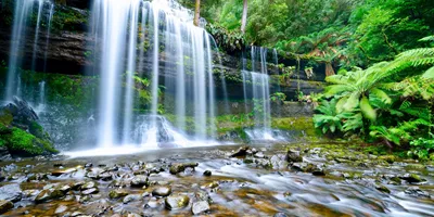 Perfect Tasmania Guided Tour