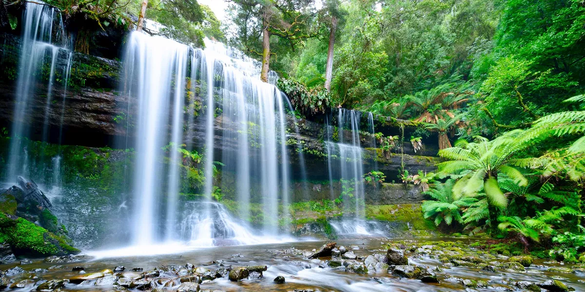 Perfect Tasmania Guided Tour
