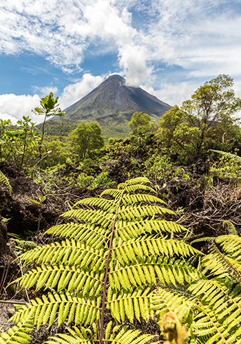 Costa Rica Arenal Volcano 989865056 GE Nov22 350X500