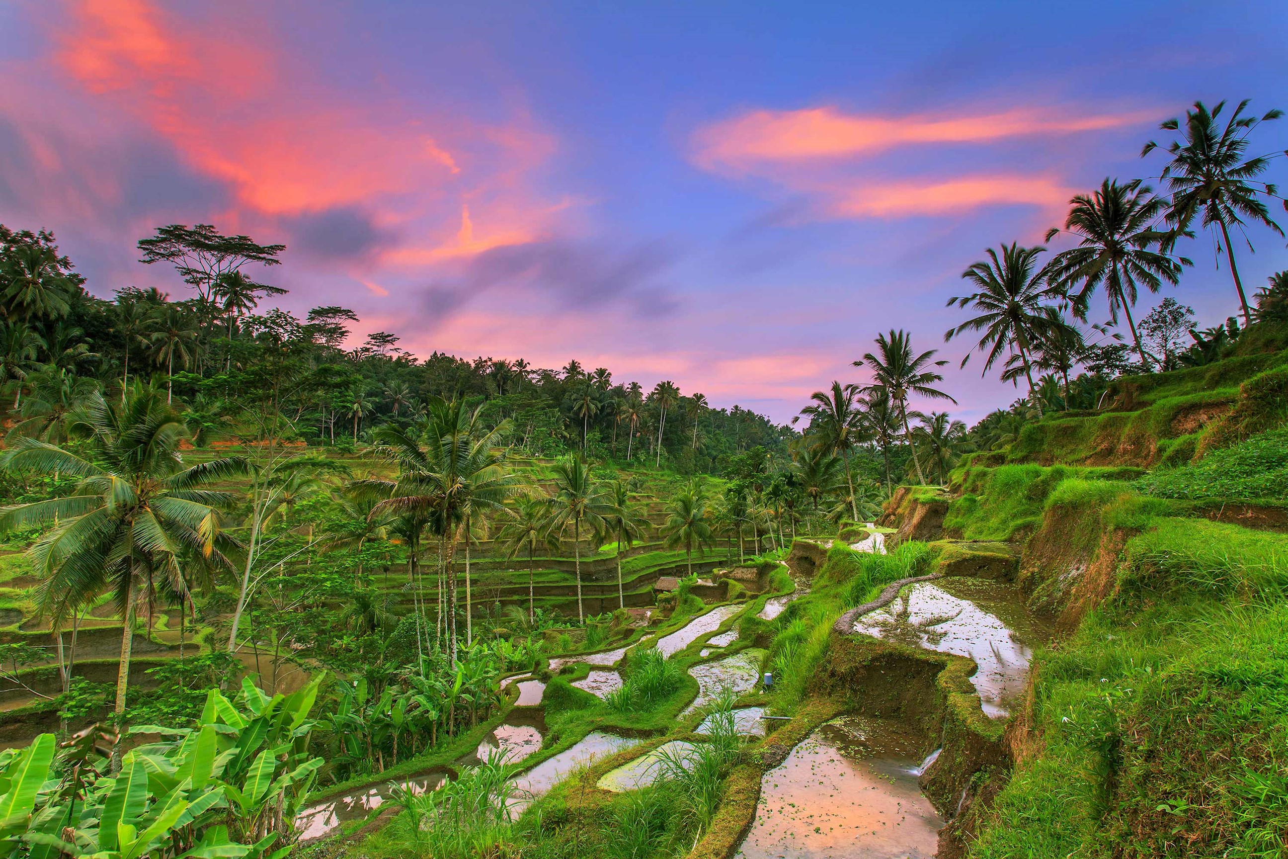 tegallalang-rice-field-ubud-bali.jpg