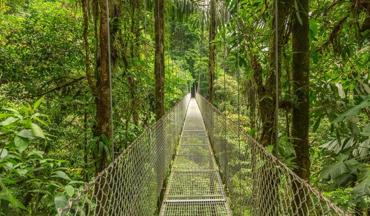 Bridge in Monteverde Cloud forest, Costa Rica