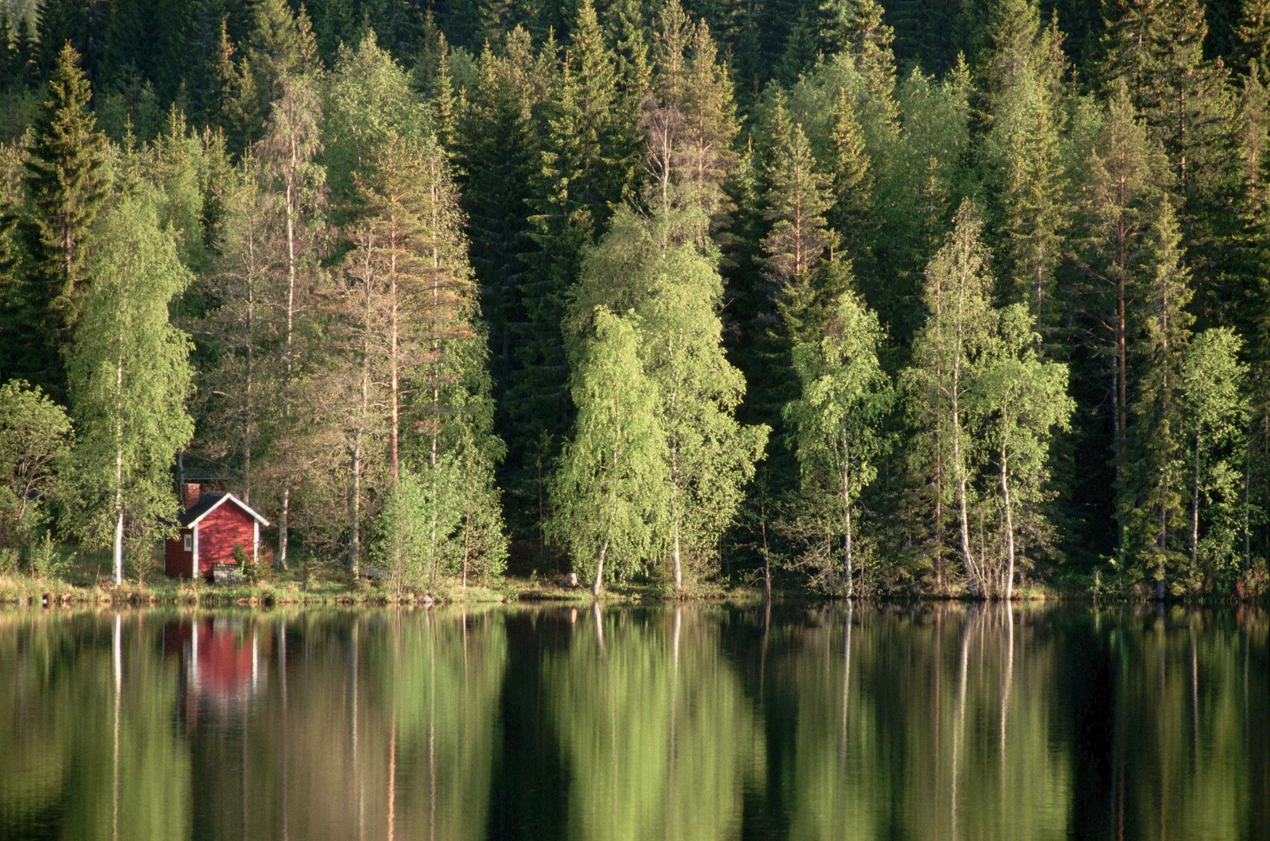 sauna-house-lake-jyvaskyla-finland.jpg