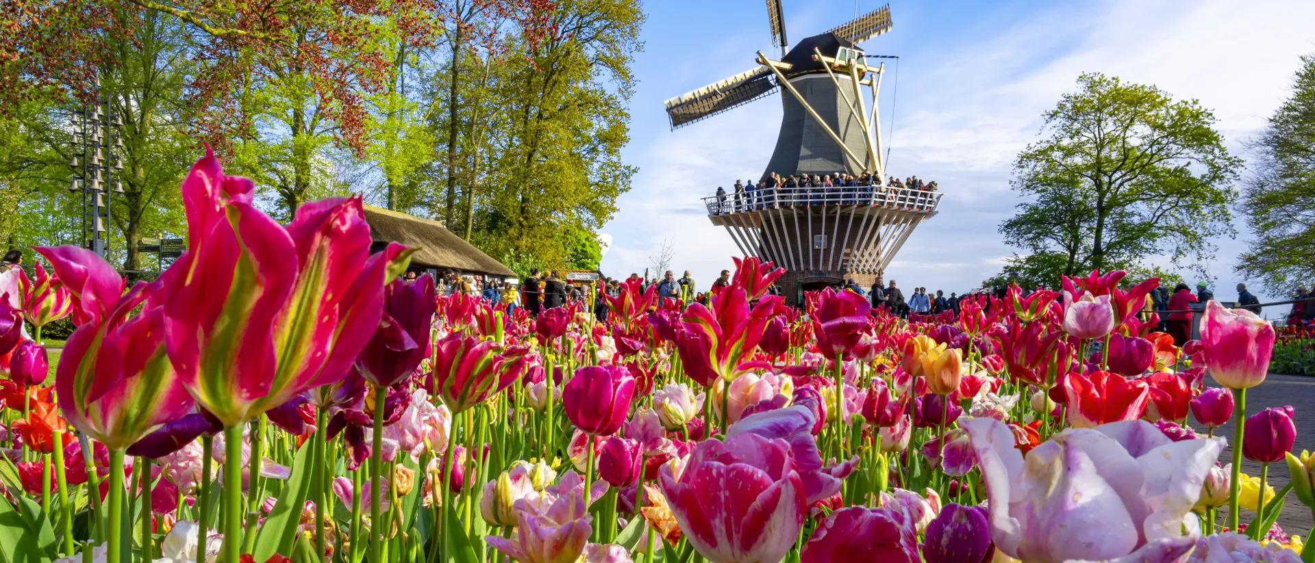 keukenhof-netherlands-getty-2209370762.jpg