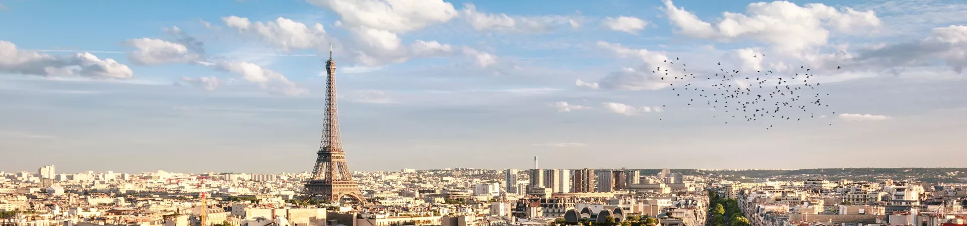 Paris with the Eiffel Tower in the background
