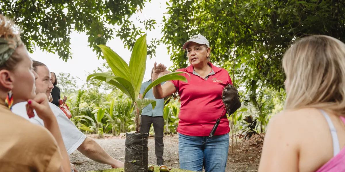 Woman talking about a plant at Heart of Palm Plantation, Costa Rica