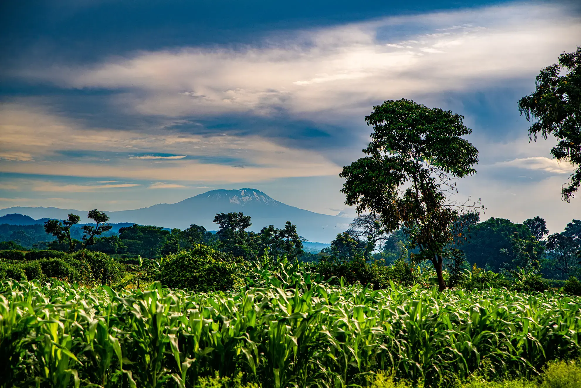 mount-meru-arusha-gettyimages-1396993915.webp