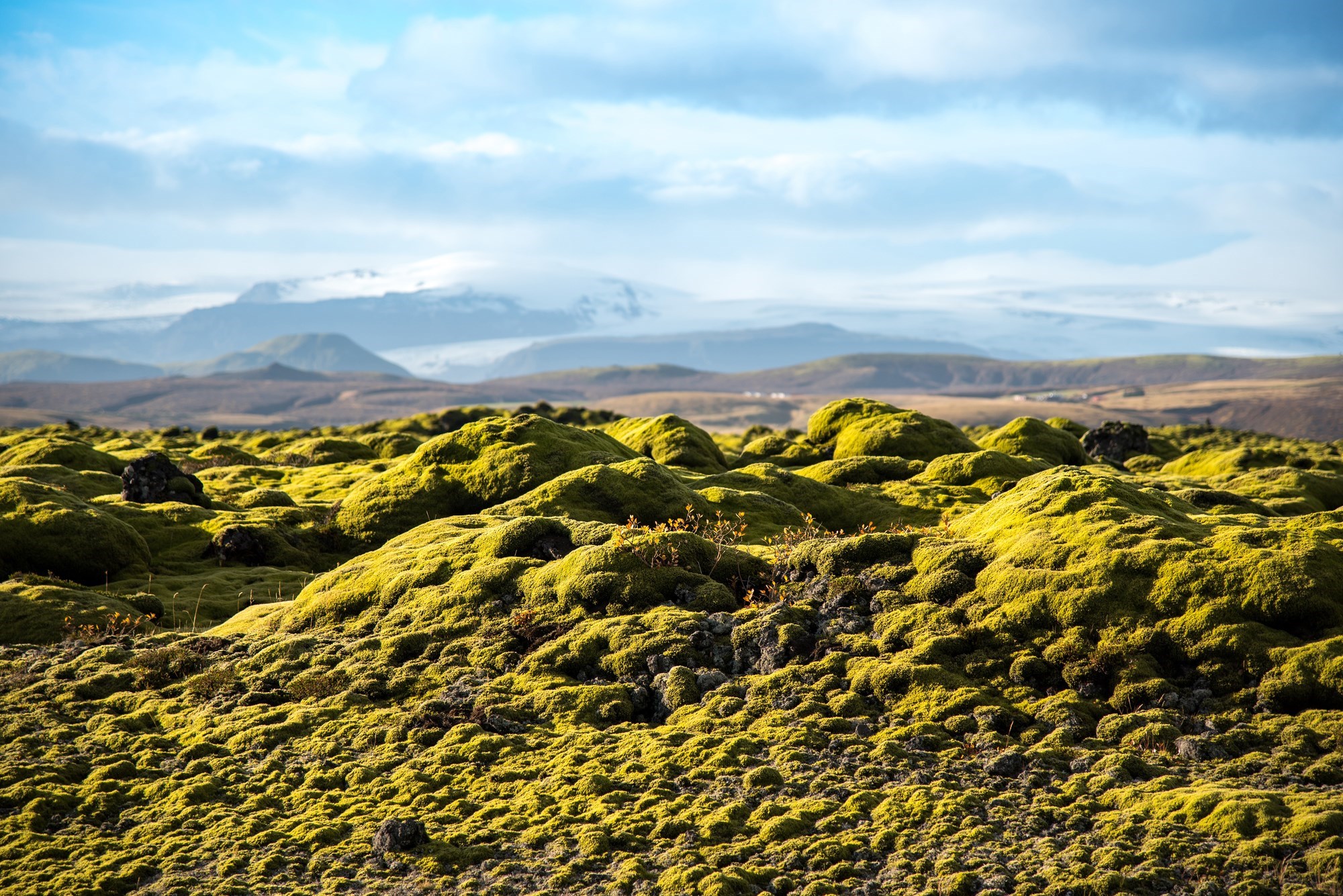 lava-field-vatnajokull-national-park-vik-iceland.jpg