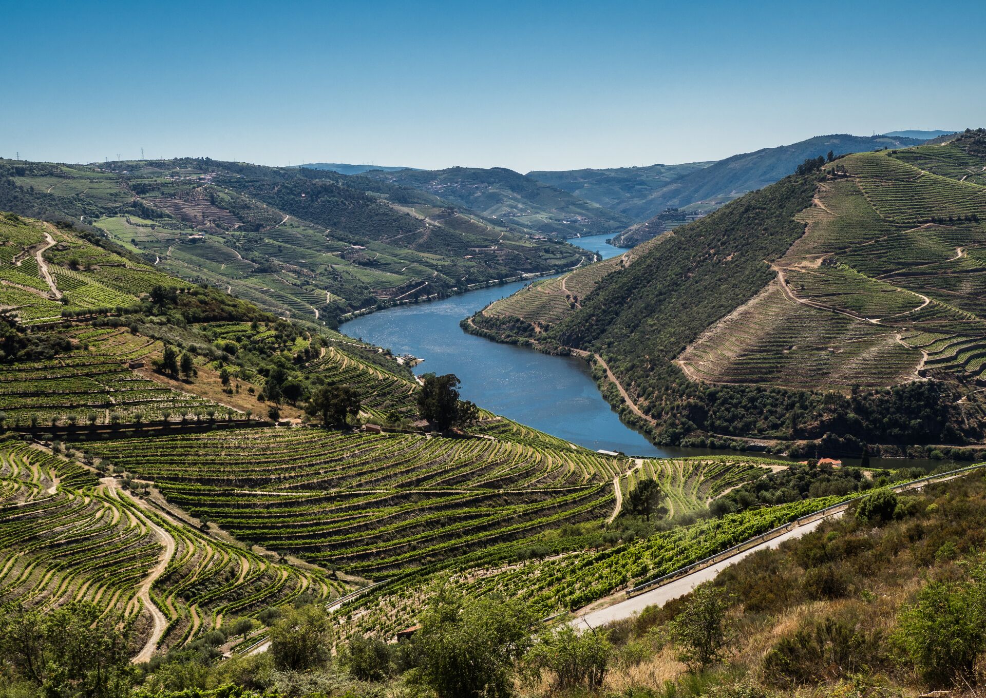 large-vineyards-in-douro-valley-portugal-808769486.jpg