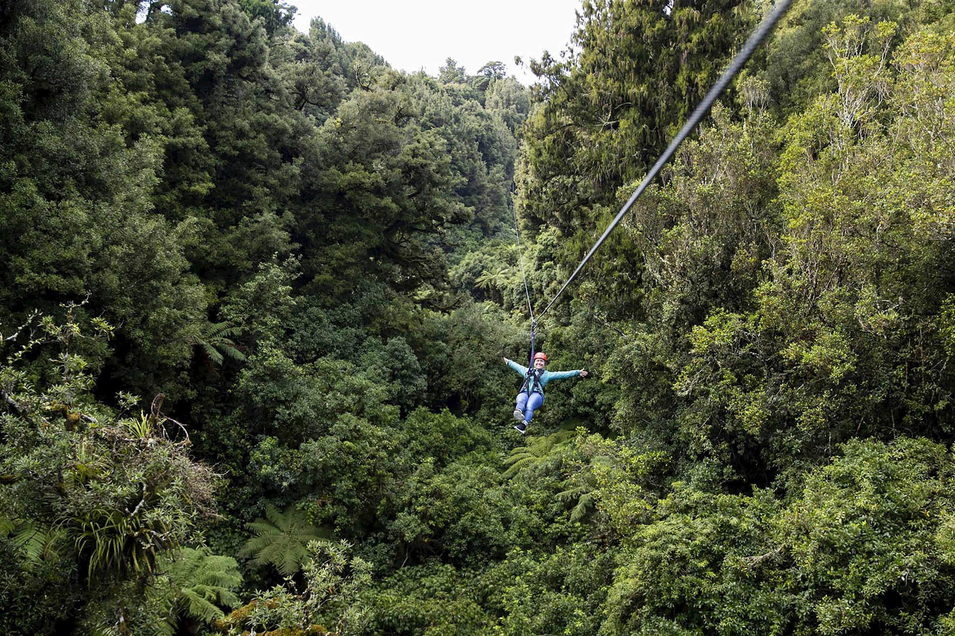 Enjoy the Canopy zipline tour in Rotorua, New Zealand