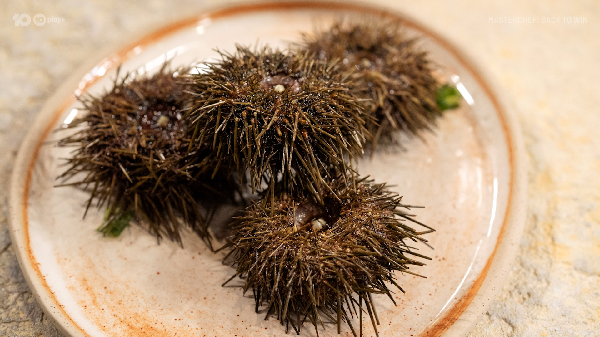 MC17 Ep55 Trafalgar Urchin