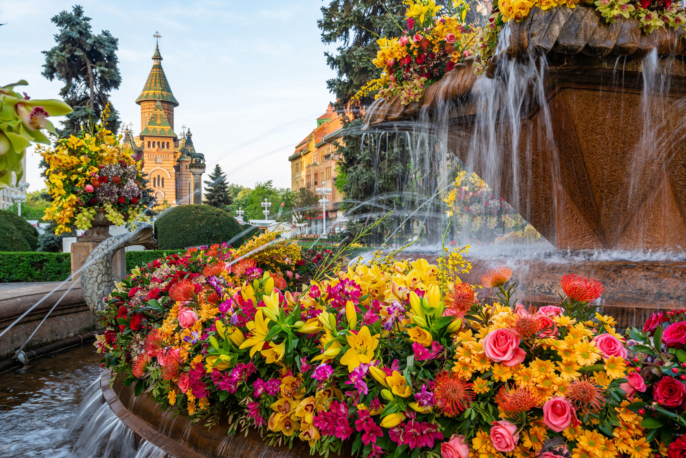 fish-fountain-timisoara-romania.jpg
