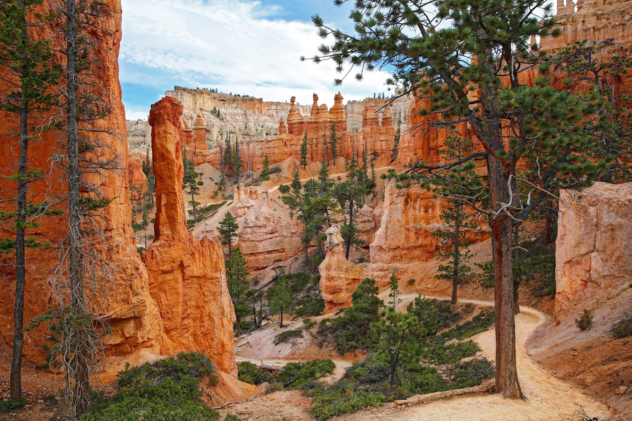 peekaboo-trail-bryce-canyon-national-park-usa.jpg