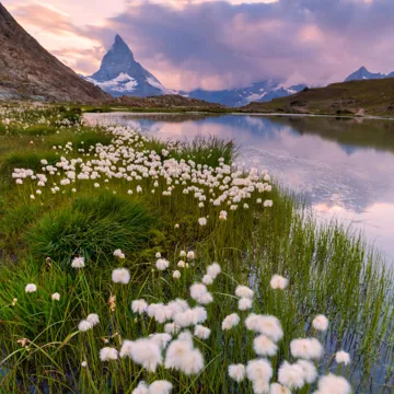 A scenic view of a Swiss landscape