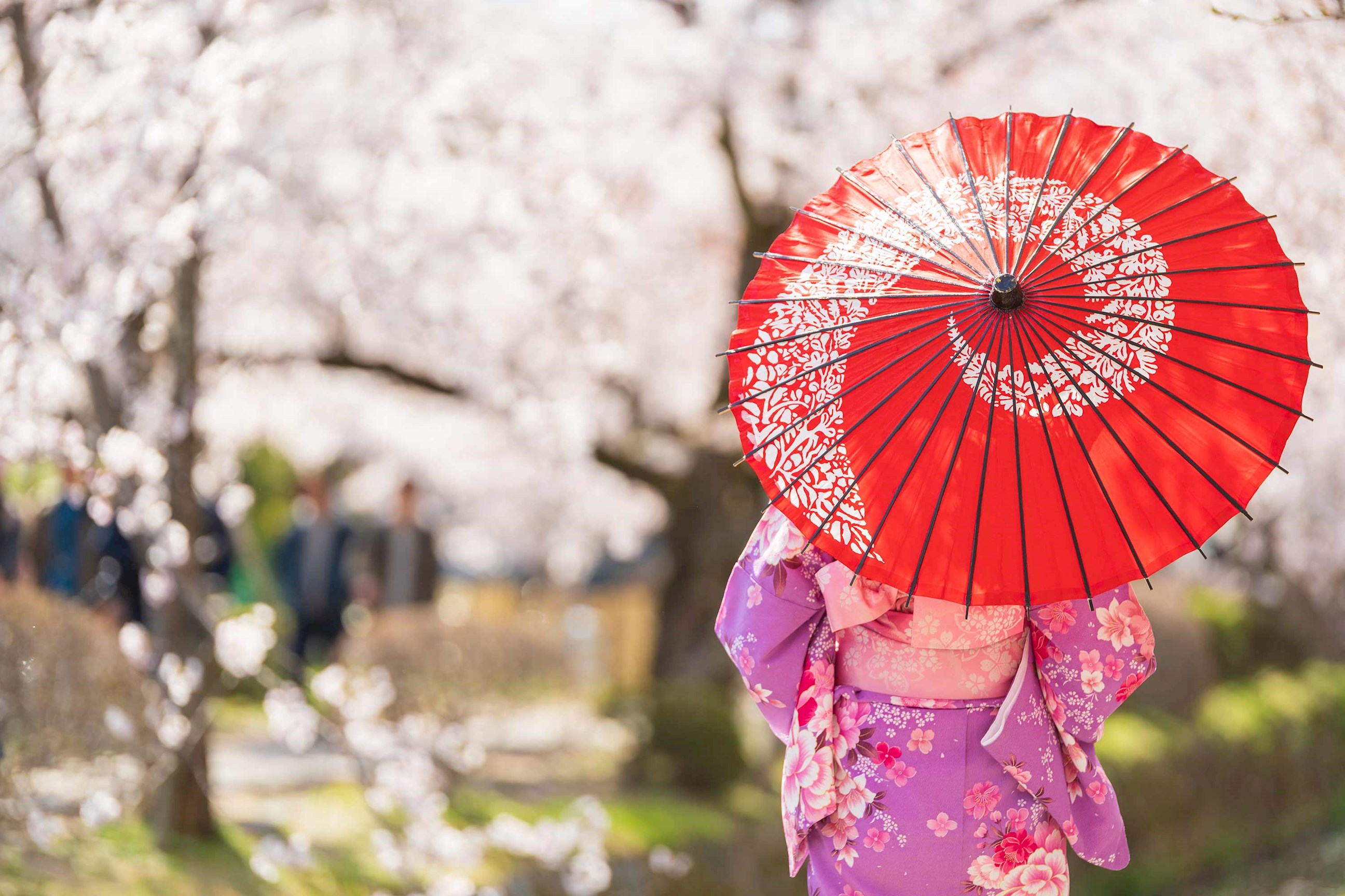 A woman wearing a kimono and holding an umbrella in Japan