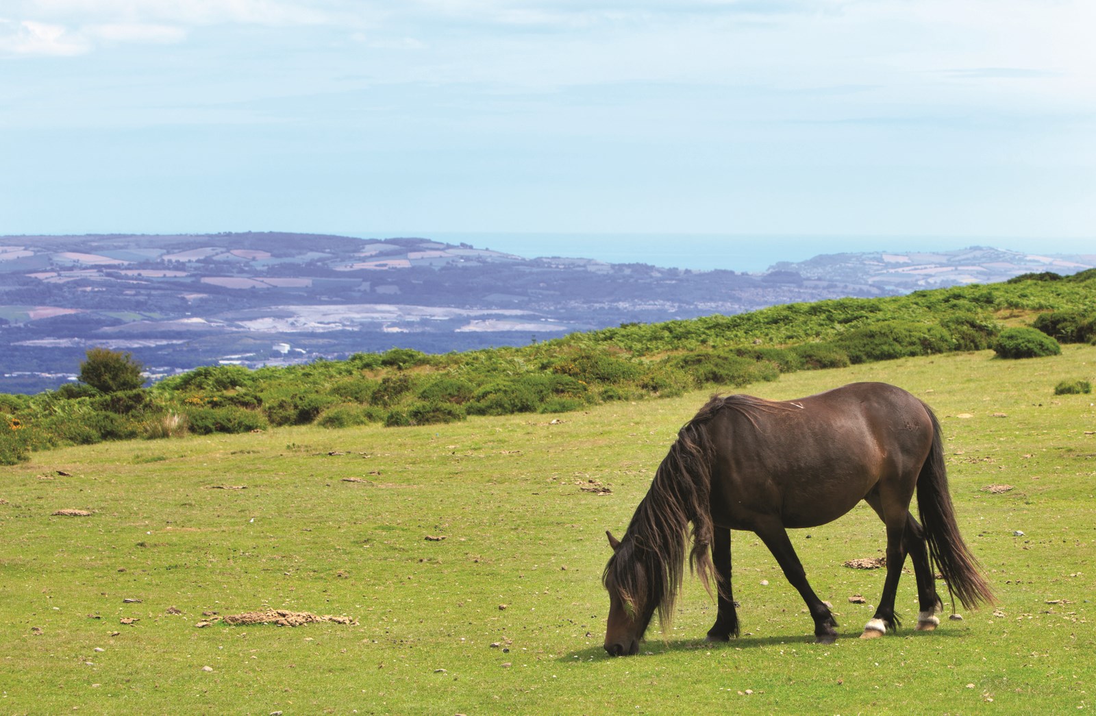71_dartmoor-countryside-dartmoor-england.jpg