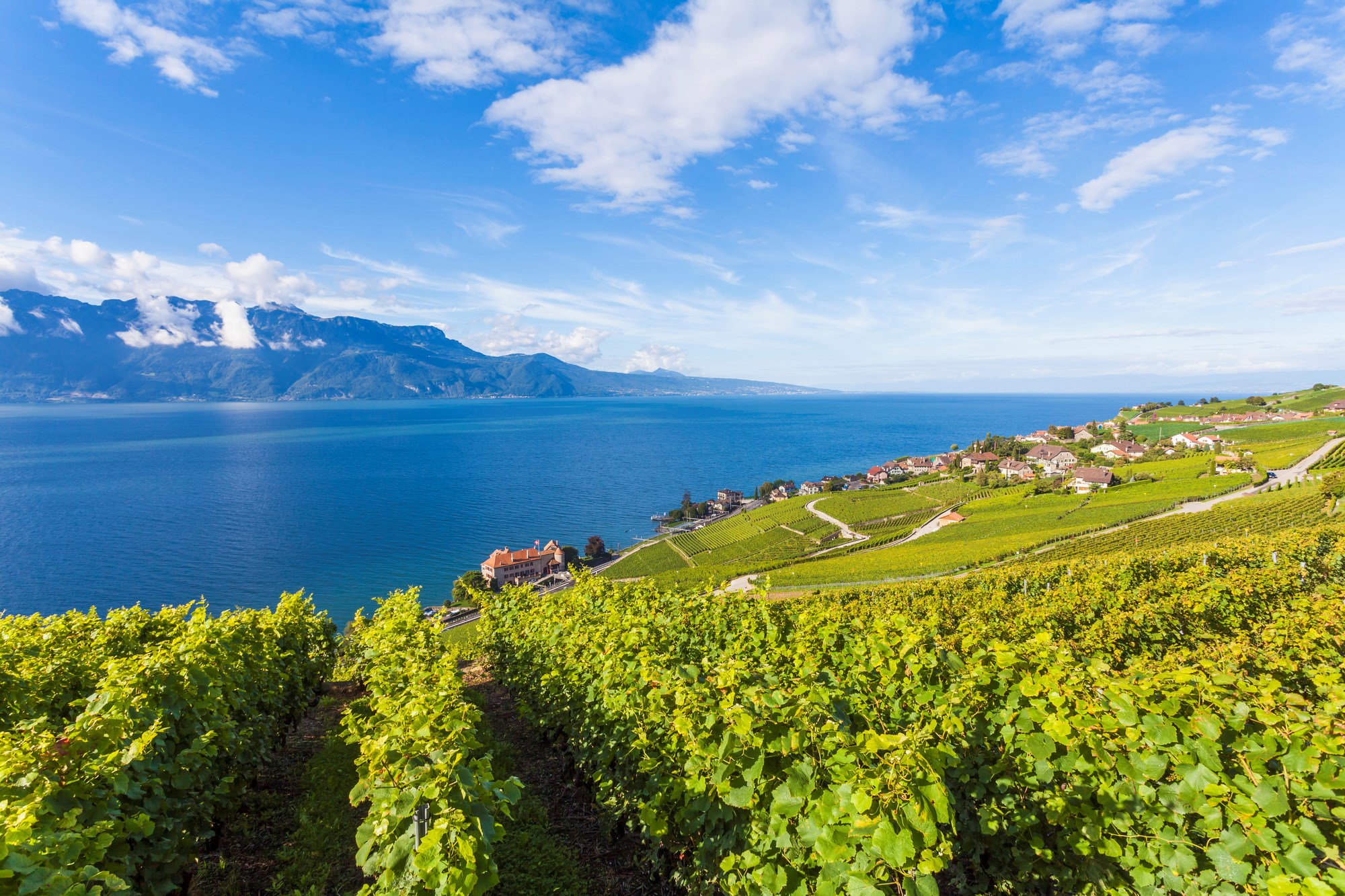 lake-geneva-switzerland-553201635.jpg