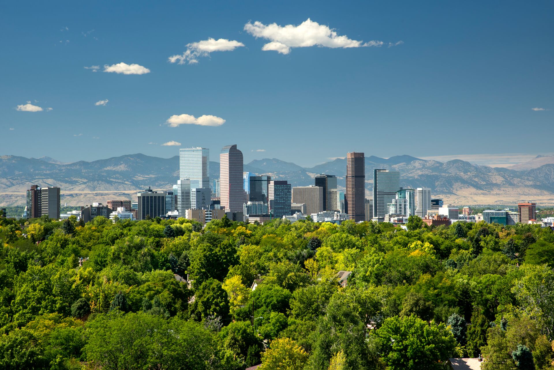 Denver's skyline with trees in the foreground and the Rocky Mountains in the background in Colorado, USA
